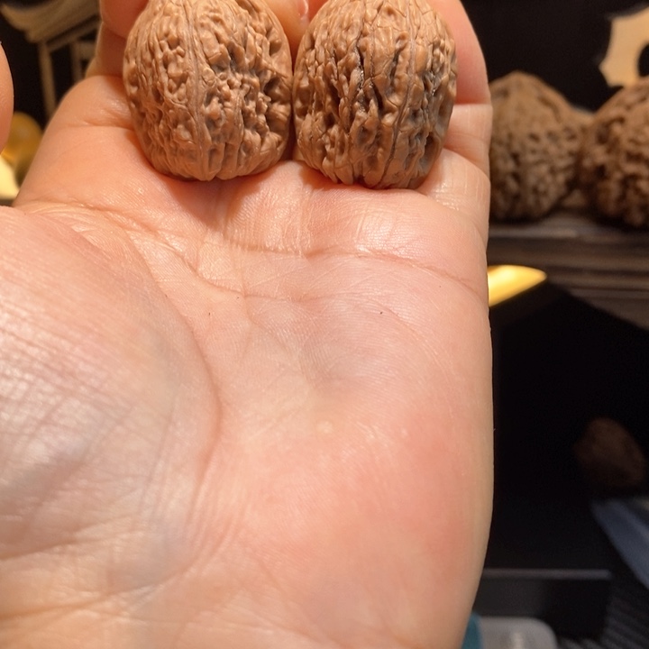 文玩核桃把件蛐**蟀26尺高炮