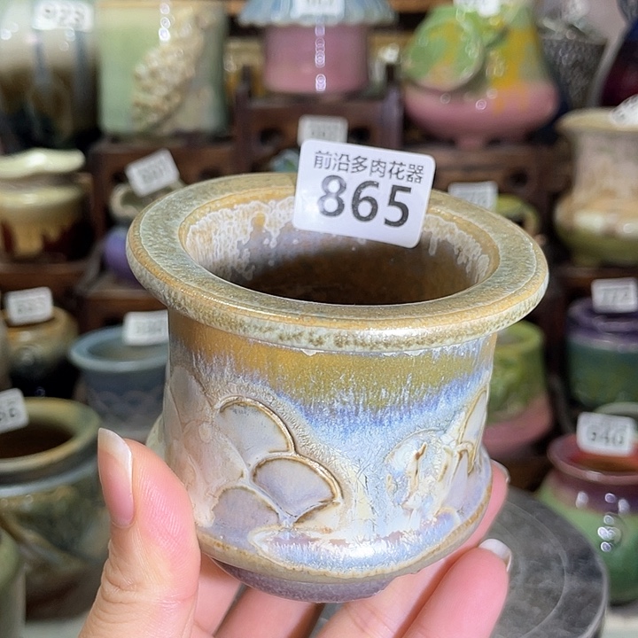 红陶内口径6高度6