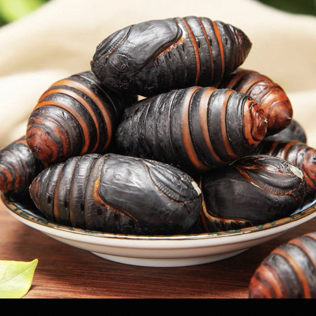 东北特产新鲜柞树 蚕蛹大黑蚕蛹
