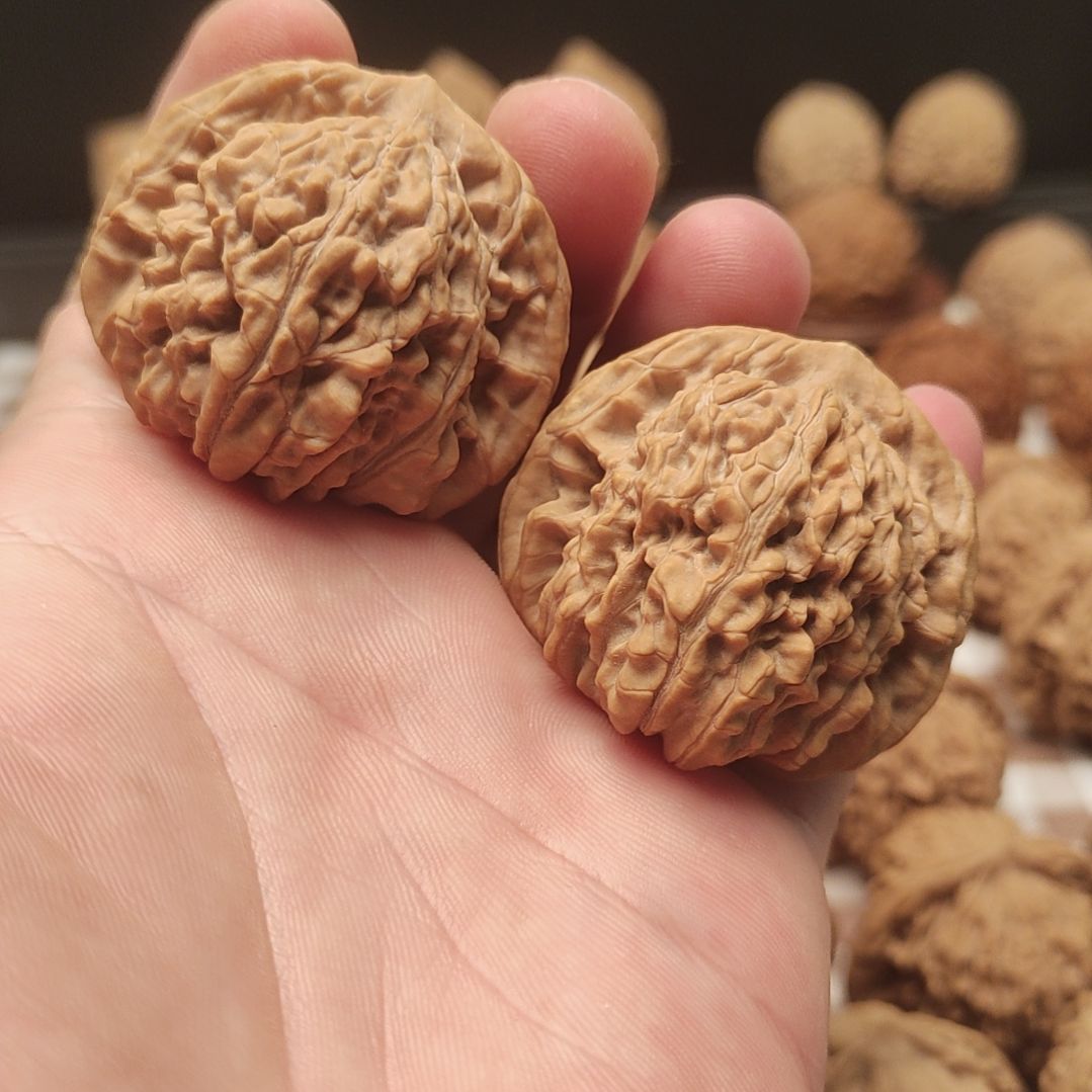 s***n大叶紫檀（黑酸枝木类）蓟县山地石楼