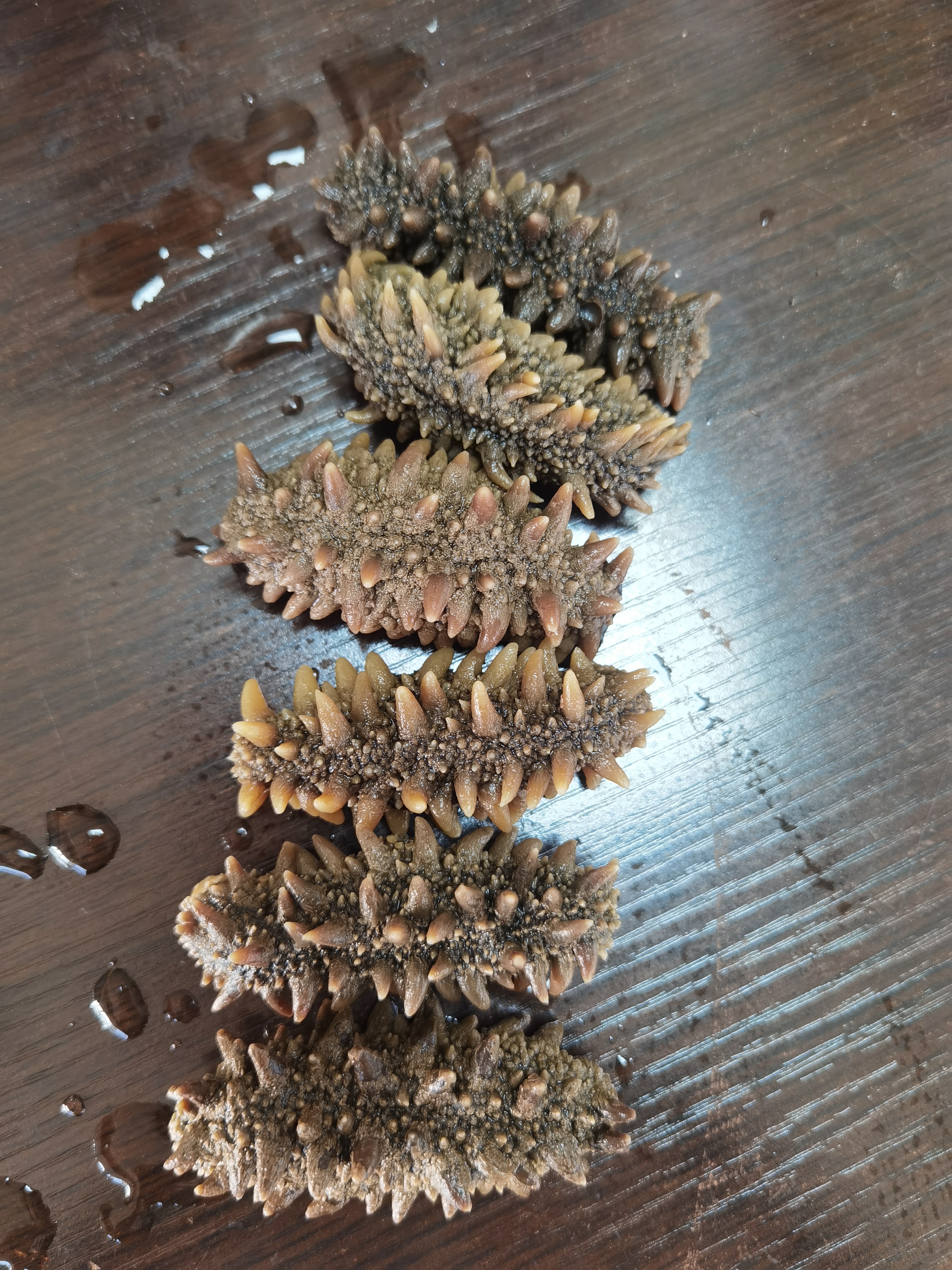 俄参缘俄罗斯淡干大红海参83头左右