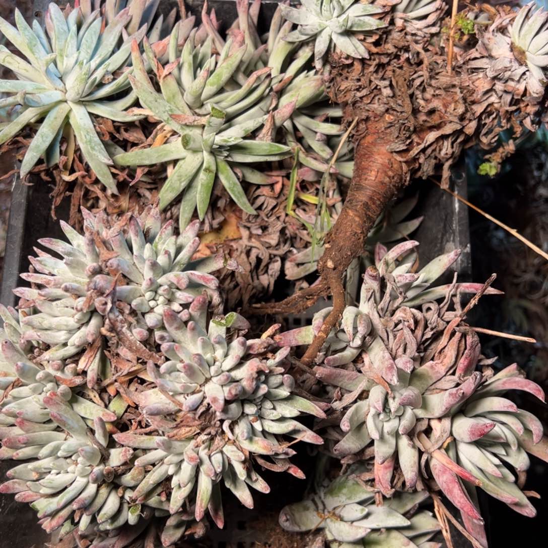 8414哈哈哈哈哈哈哈哈哈