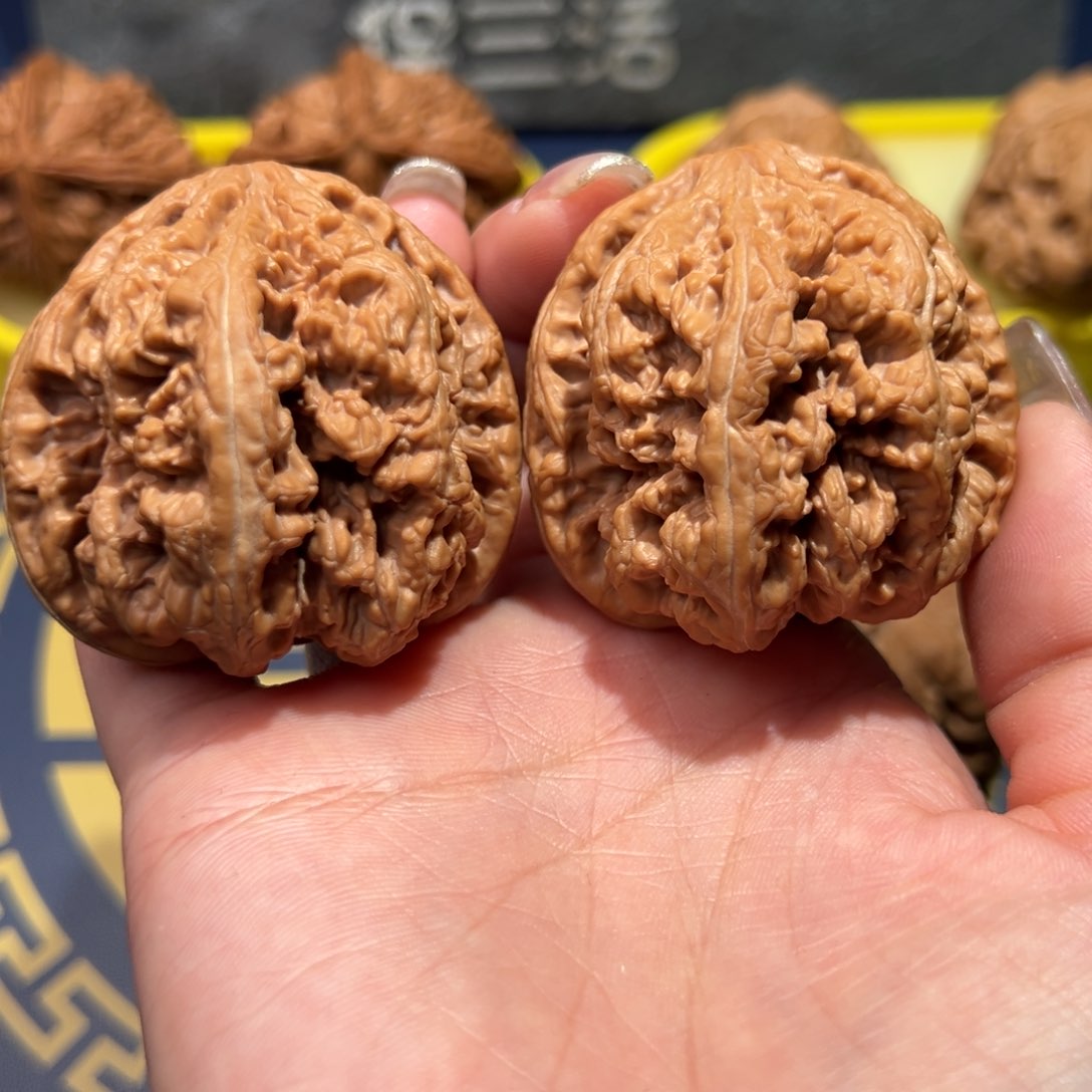 文玩核桃把件大粗筋45