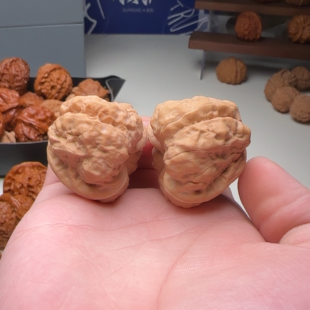 B18号怀柔蛙38-40-34