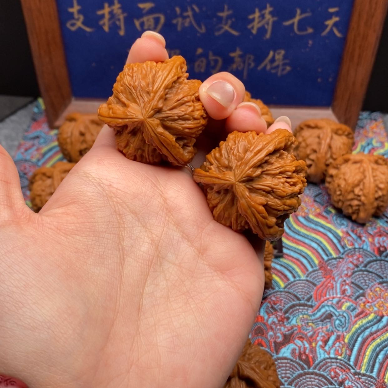 【闪购商品】半*水白狮