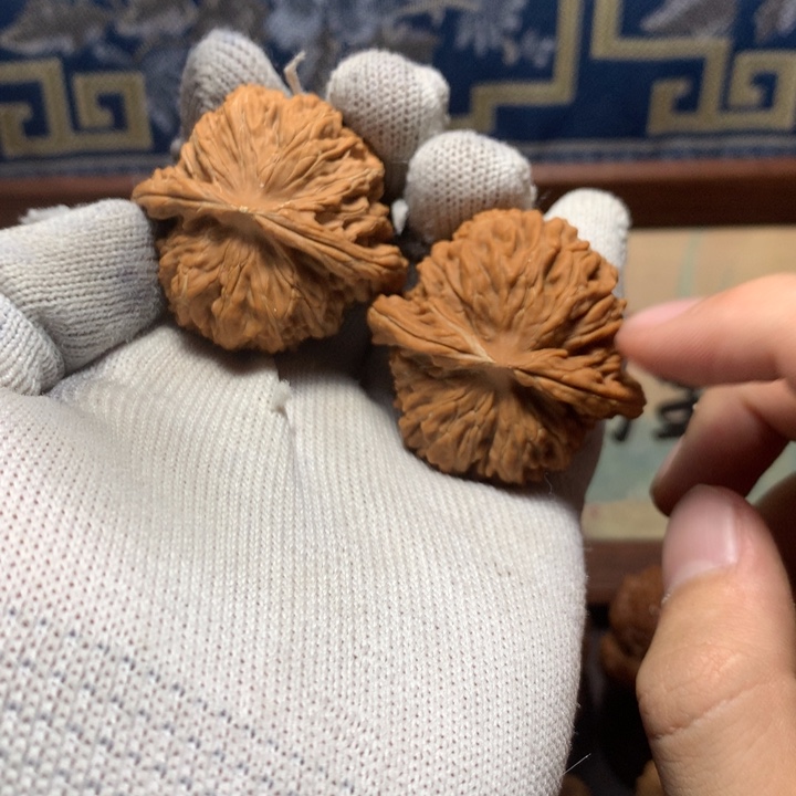 自***灭哈哈哈哈哈哈哈哈哈哈哈