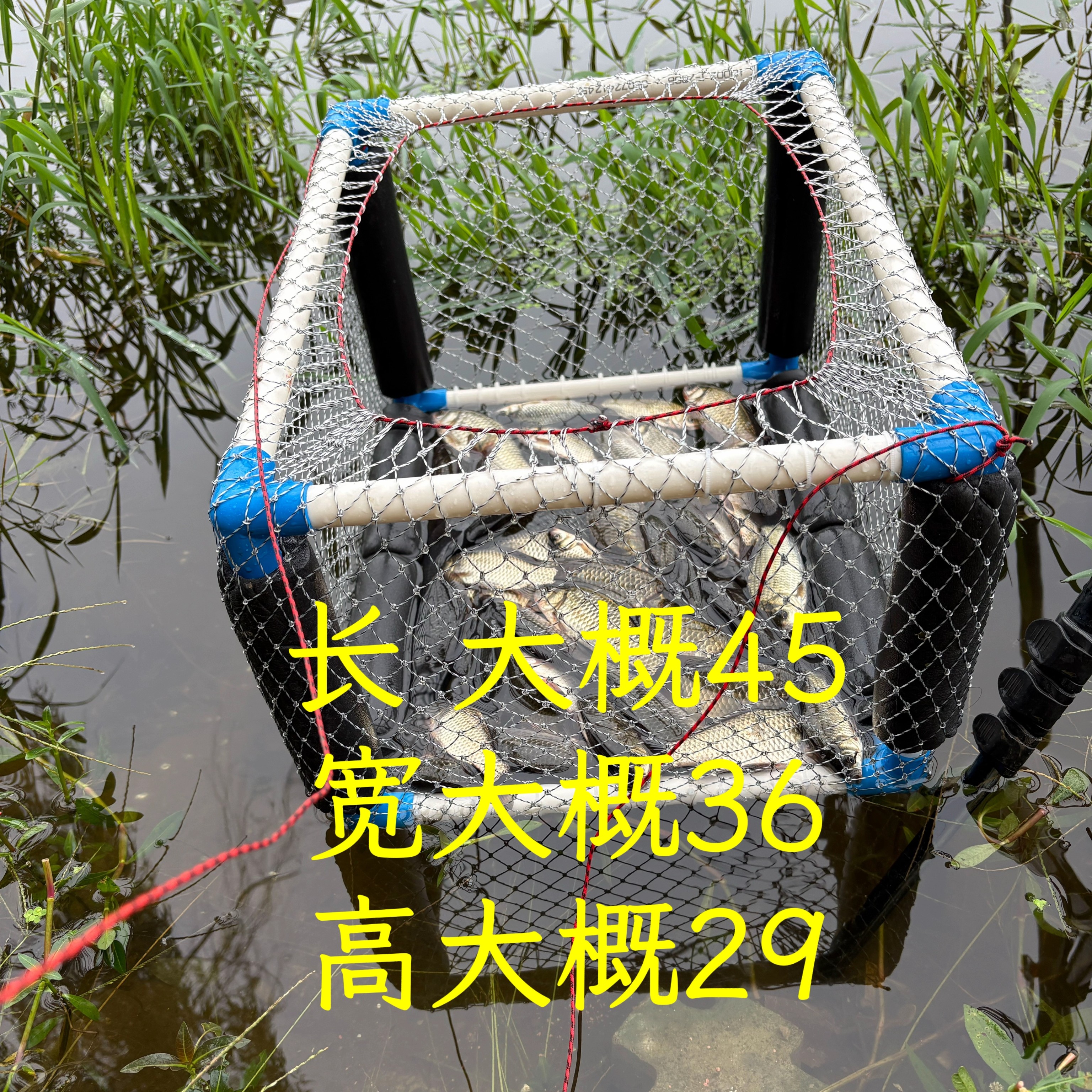 逗钓专用鱼框展示