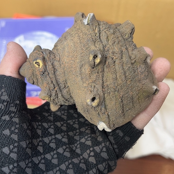 瓷***子你在干嘛呢我在洗