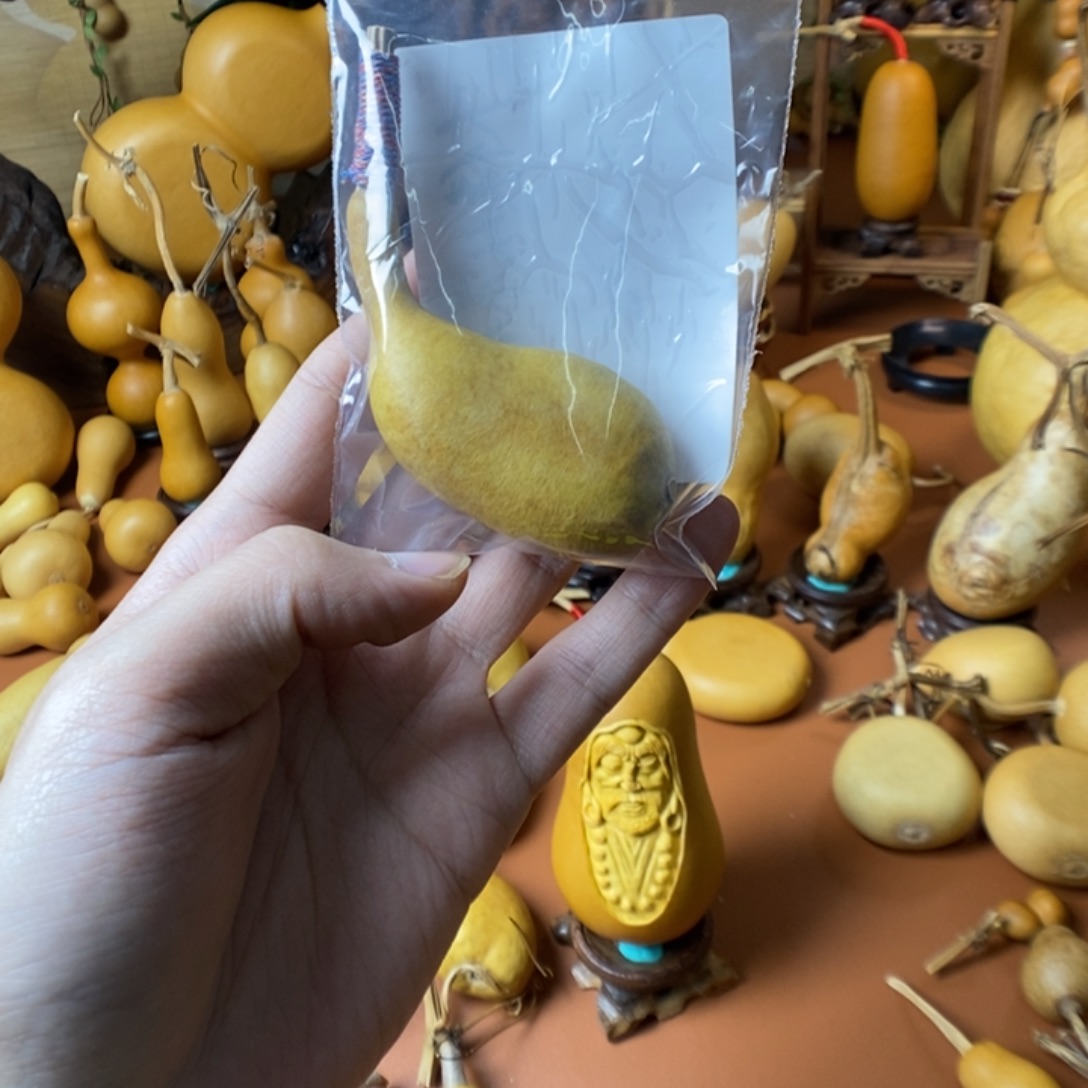大***趣教练咯教练咯教练咯