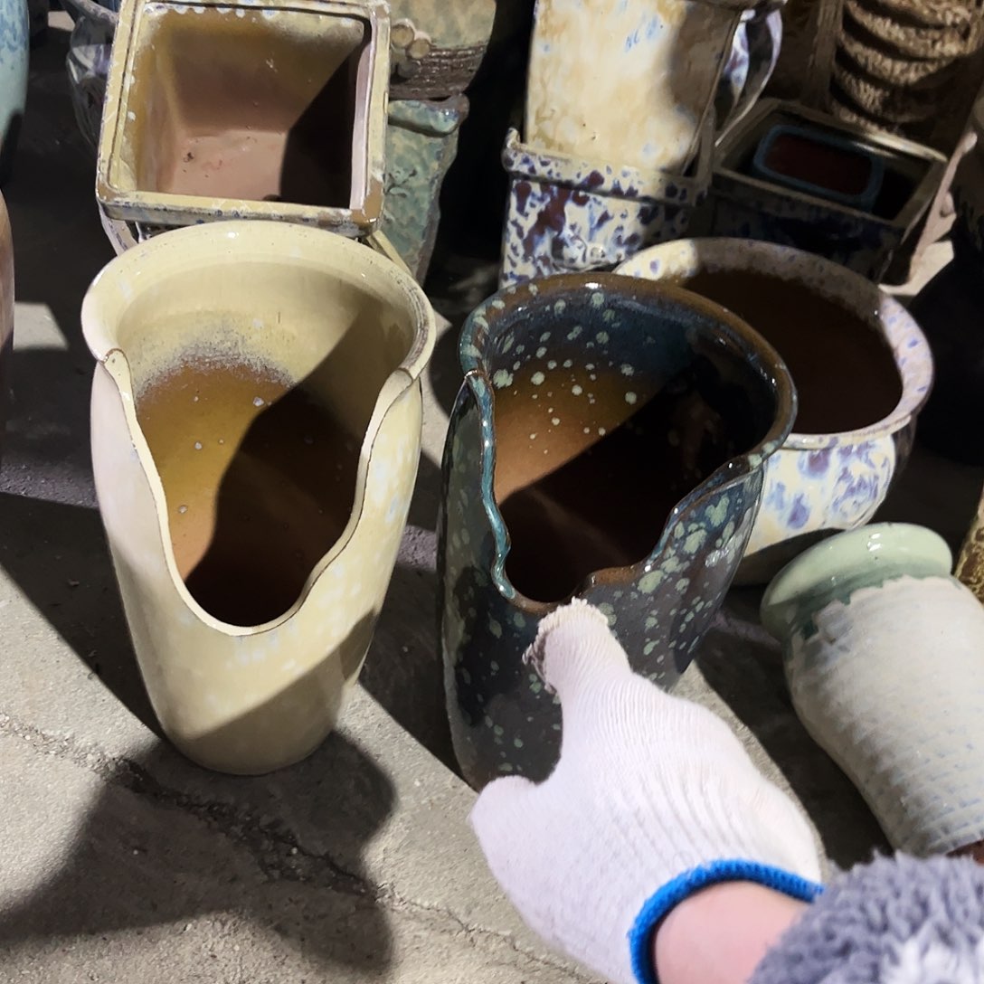 紫砂花盆花盆里的小