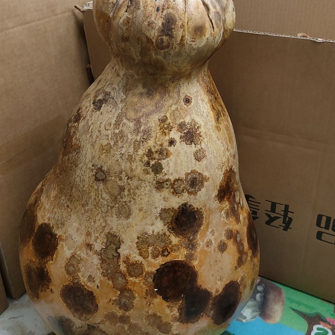 恒***诺莲花头钱袋子喜欢拍