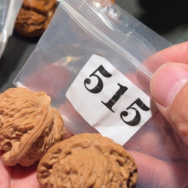 核桃111111111111111111