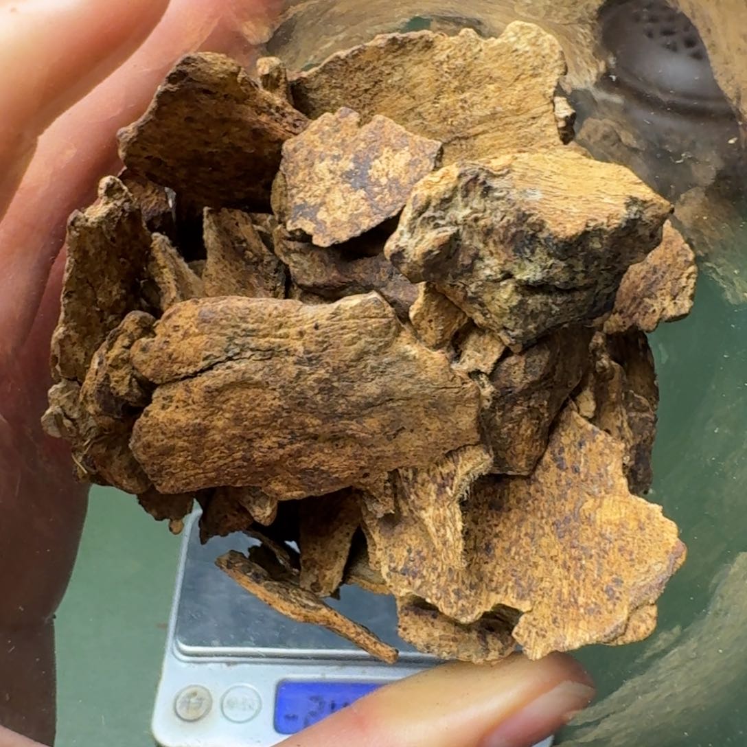 沉香手把件黄***丨莱特岛富森红土皮油老香块料32克