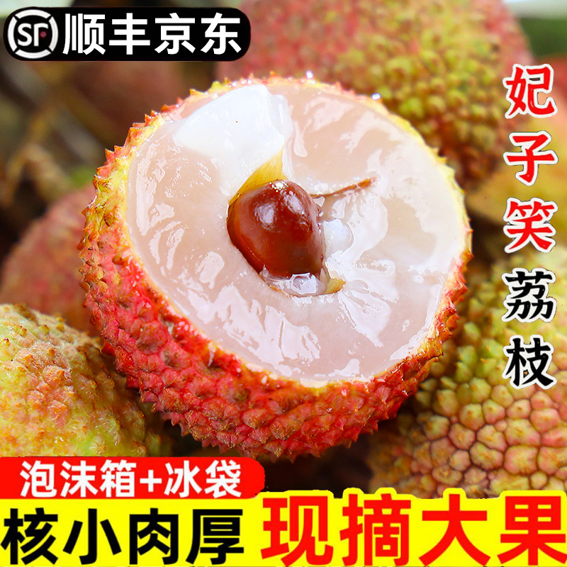 6-18现货【今天拍明天到】LL1海南直采老树荔枝新鲜水果妃子笑3斤装荔枝同城送