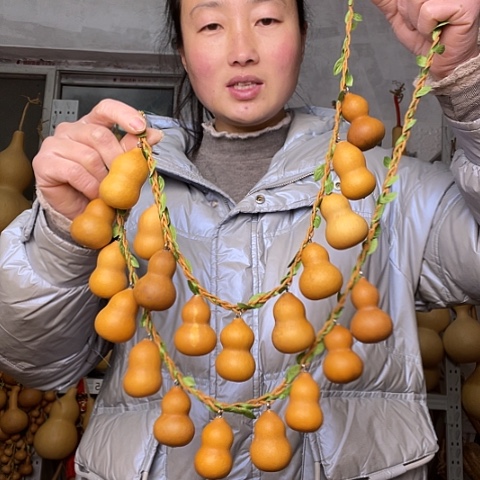 天然植物葫芦文玩