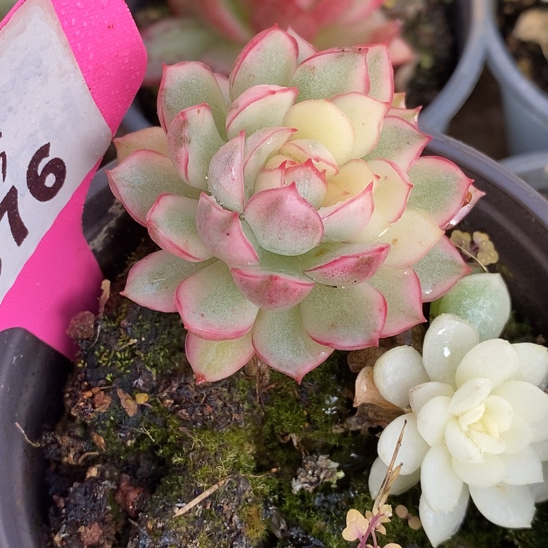 576哈哈哈哈哈哈哈哈