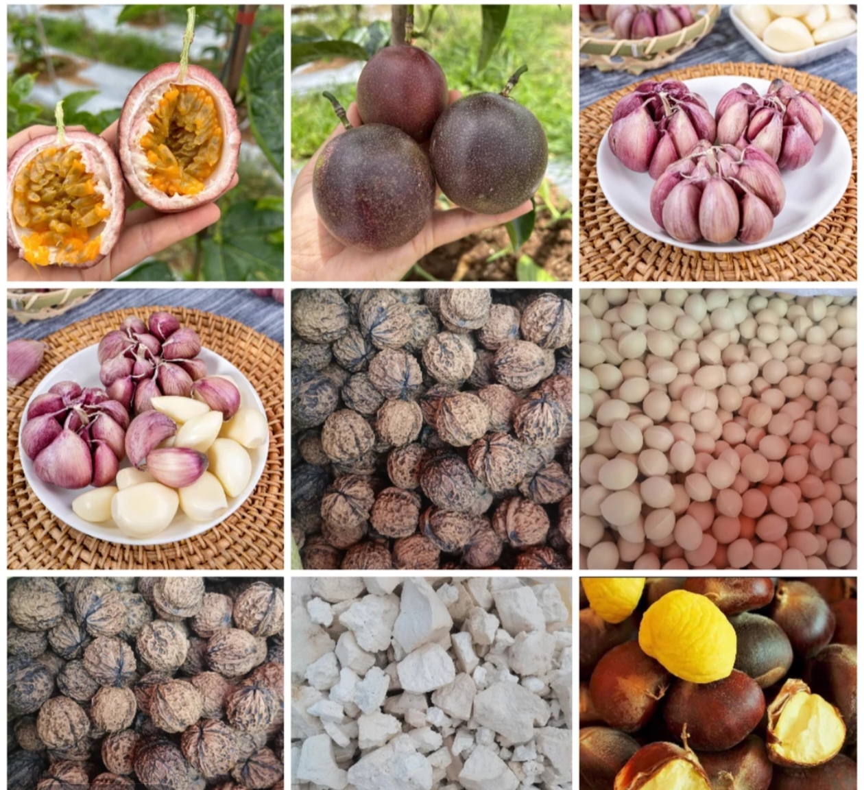 云南农家土特产临时链接1号非香菇