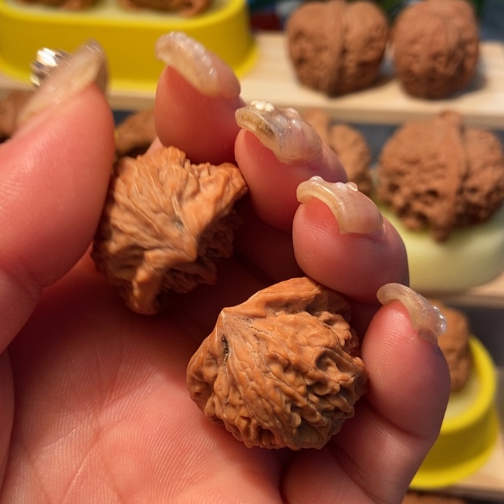 官方网站发布消息