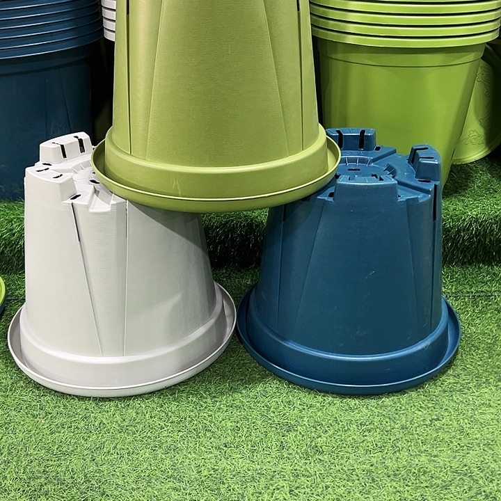 正品青山口40高35果绿色3个无托