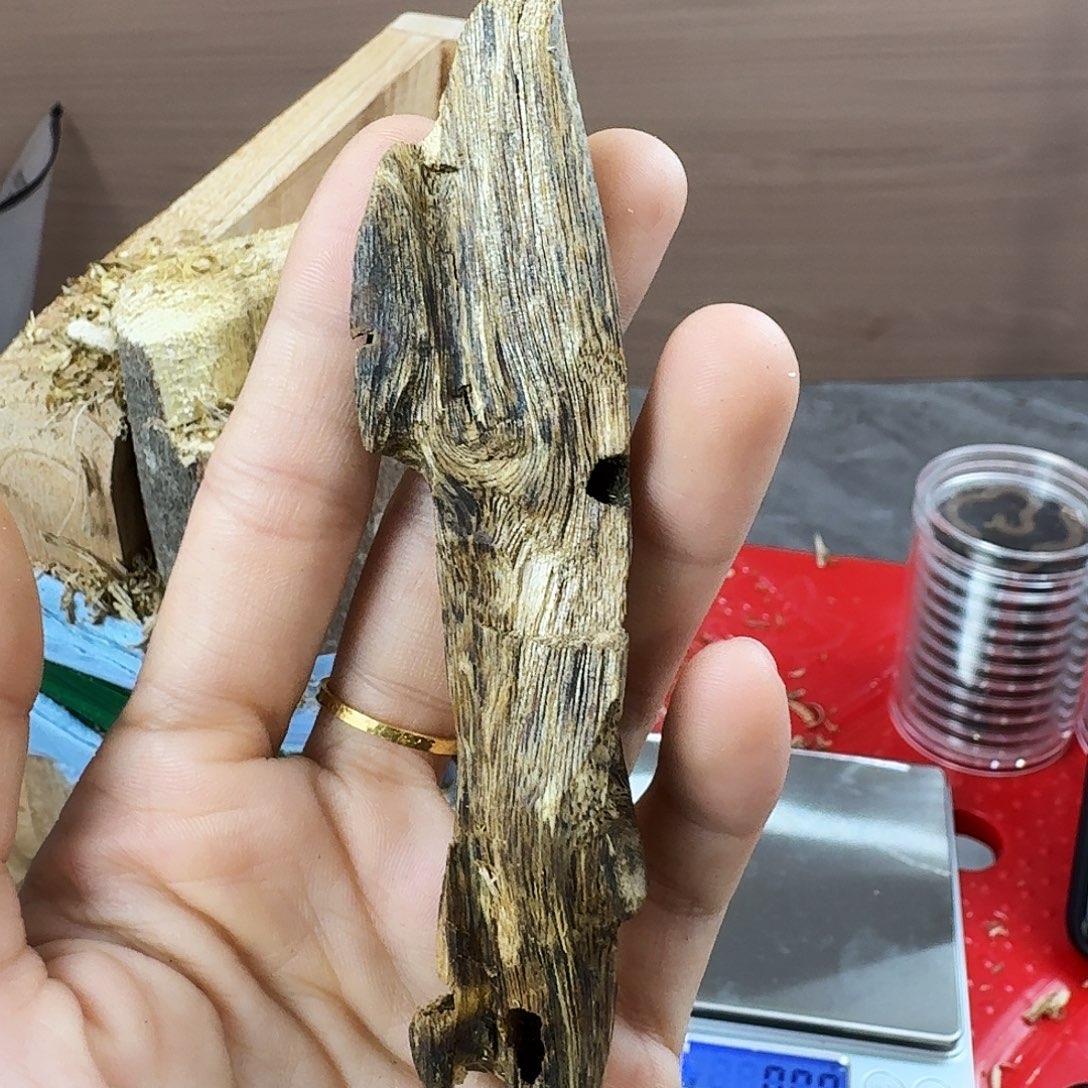 香料绿奇楠虫漏白棋14克