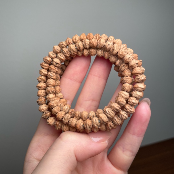 热振柏香籽红皮白牙原桩横打