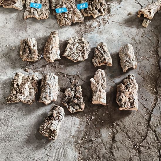 完全开放顺顺利利，平平安安