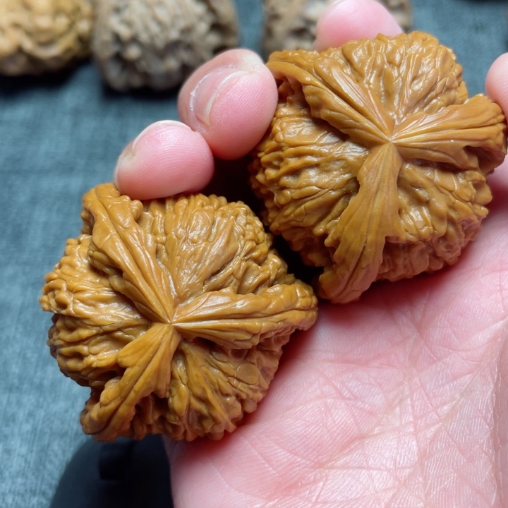 工艺三棱白狮子三棱