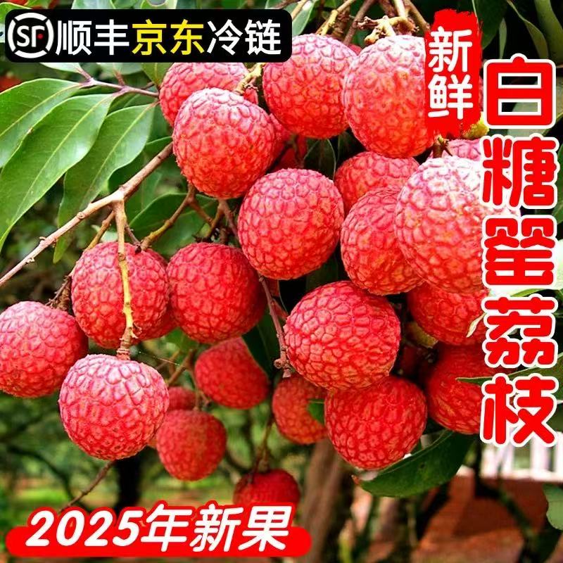 顺丰冷链白糖罂荔枝新鲜现摘水果当季整箱纯甜老树
