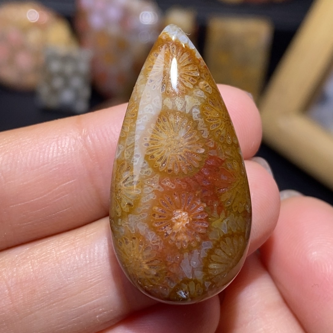 【闪购商品】硅化玉颈饰未镶嵌