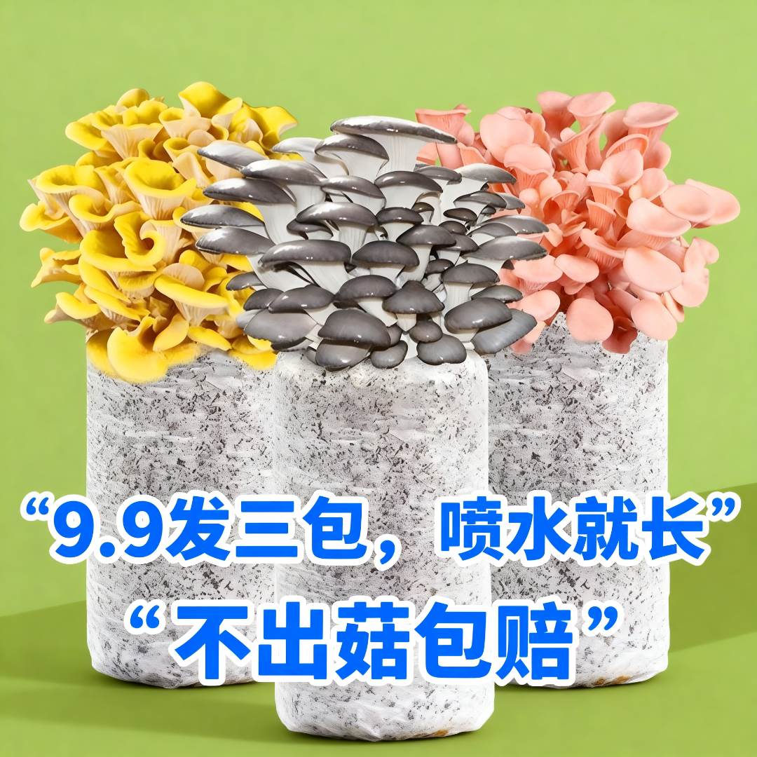 【30天不出包赔】买一发三家庭种植室内阳台种植菌包