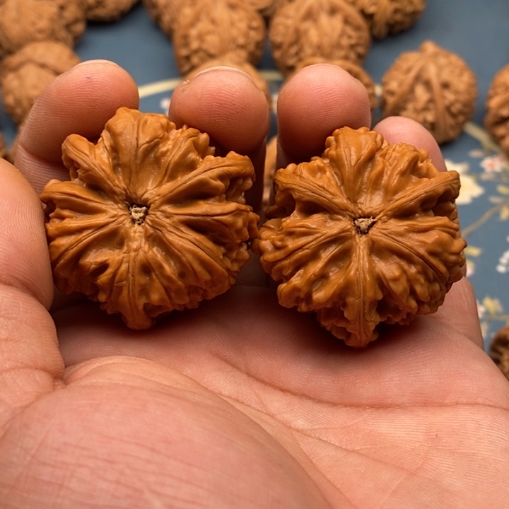 文玩核桃把件s*r玉龙