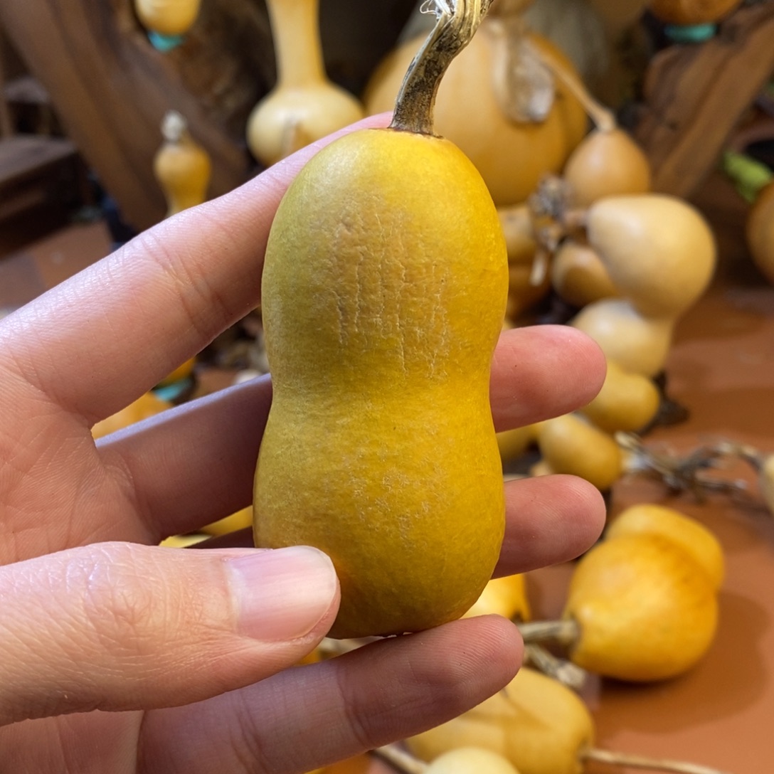 璞***緣教练教练教练教练经理