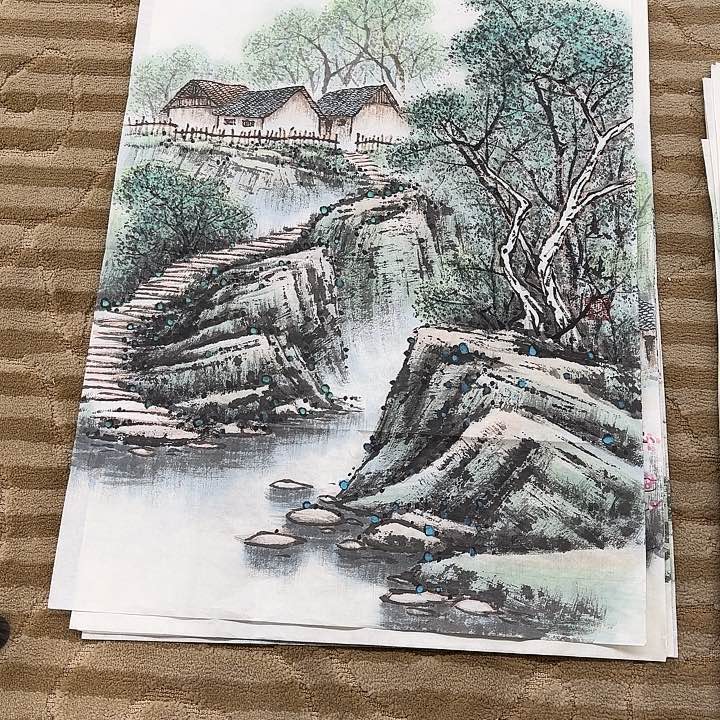 国画小****✨花鸟等多种鸟类的