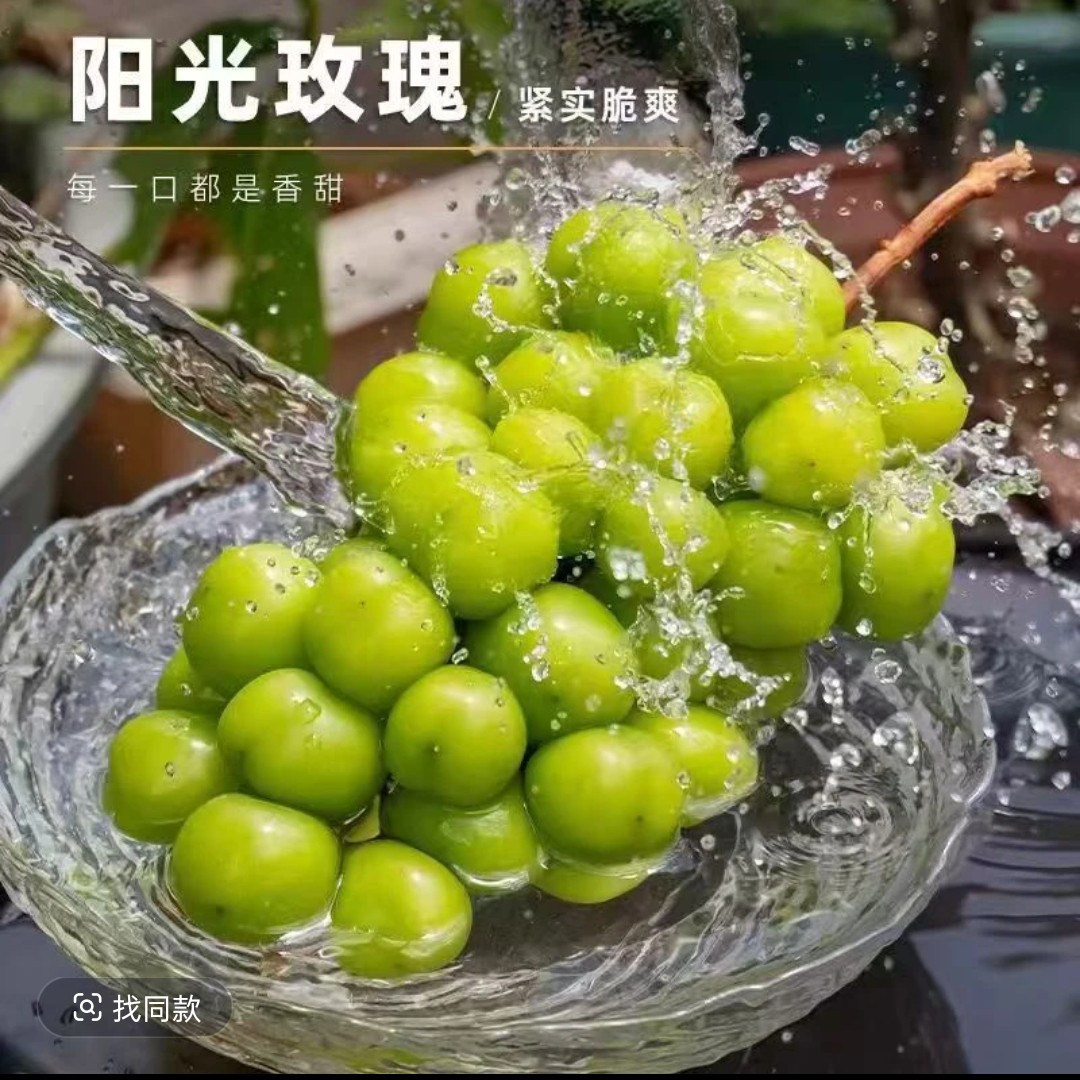 顺丰包邮阳光玫瑰葡萄整箱新鲜应季无籽脆甜多汁