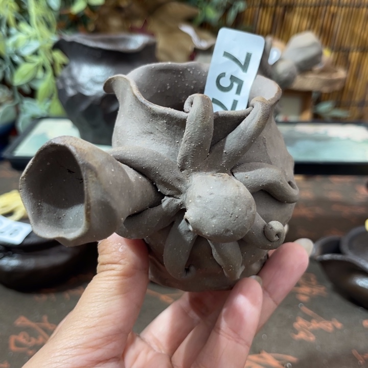 范*范木村信弘柴烧保平