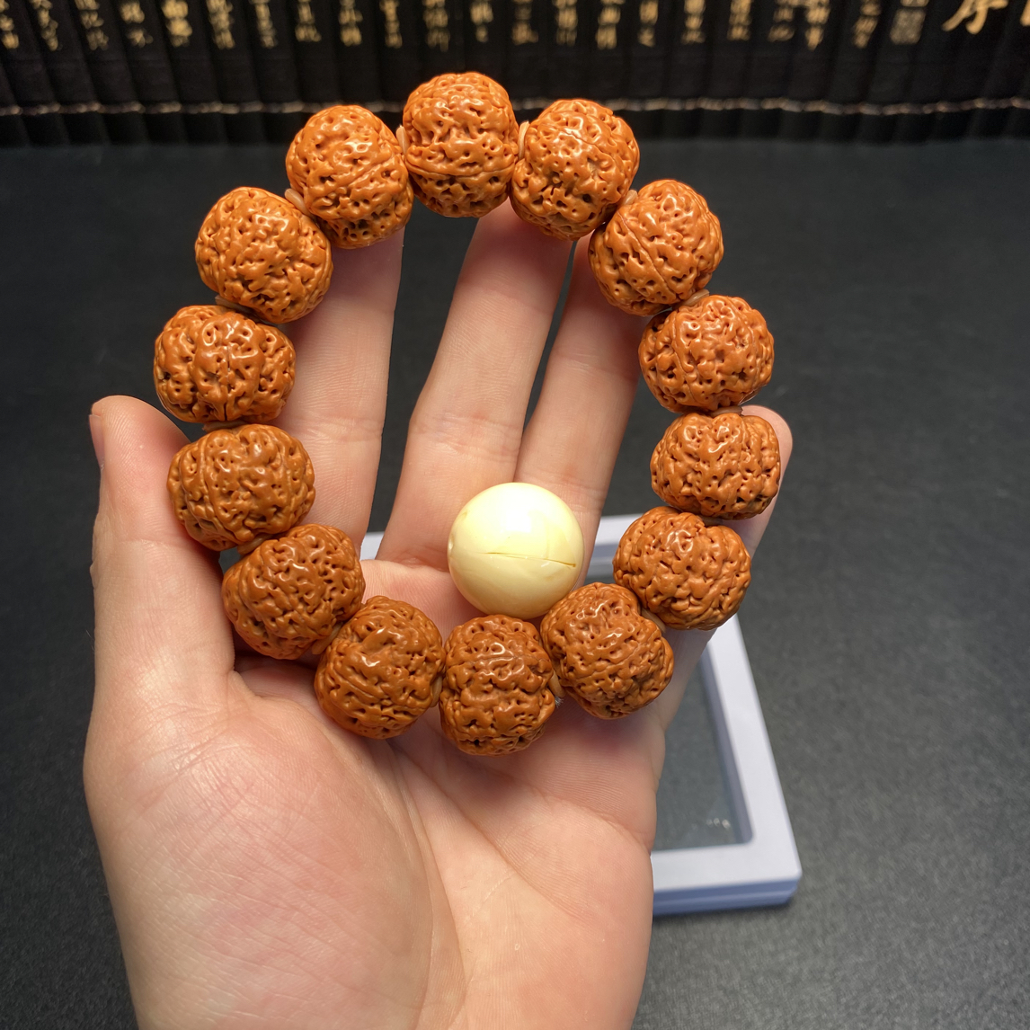 精选大金刚安娜梅花（7号）