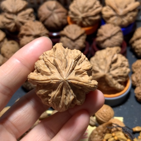 核桃飞****觉棱子单只一个