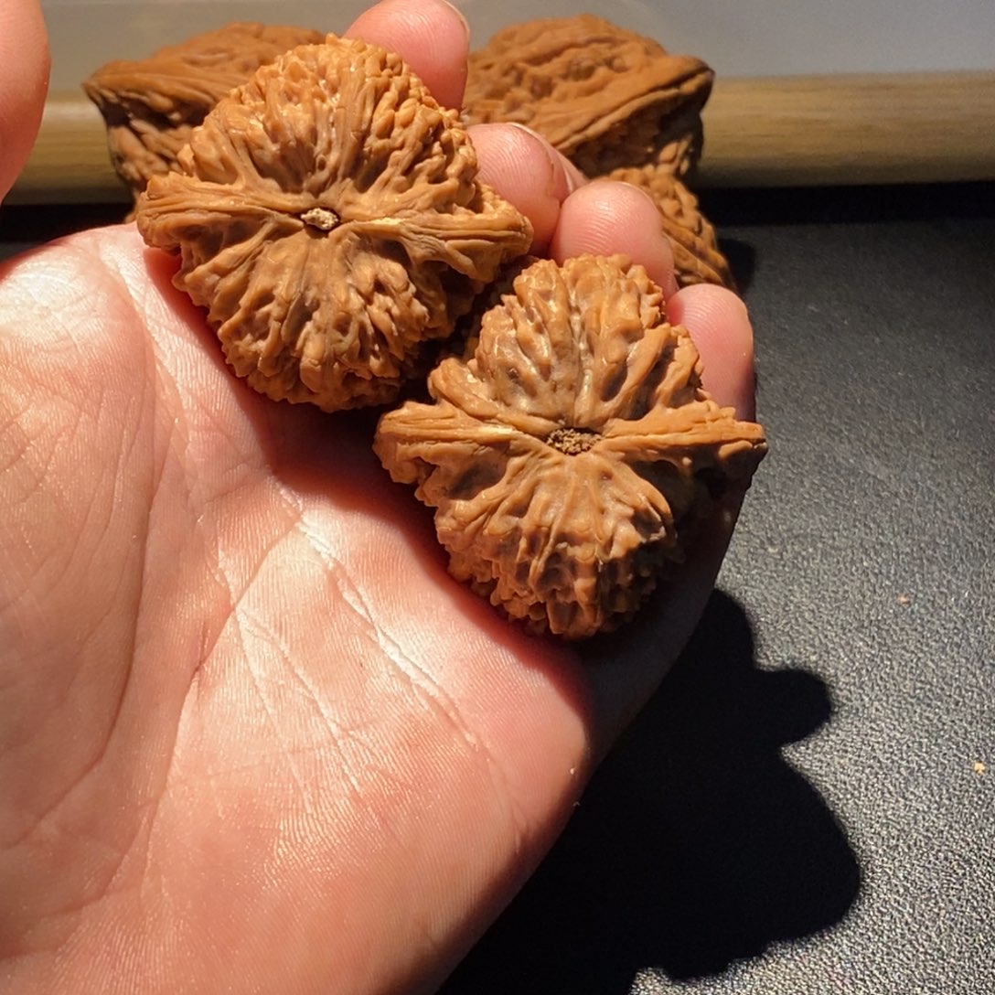 执***春手串/手链核桃南疆石43