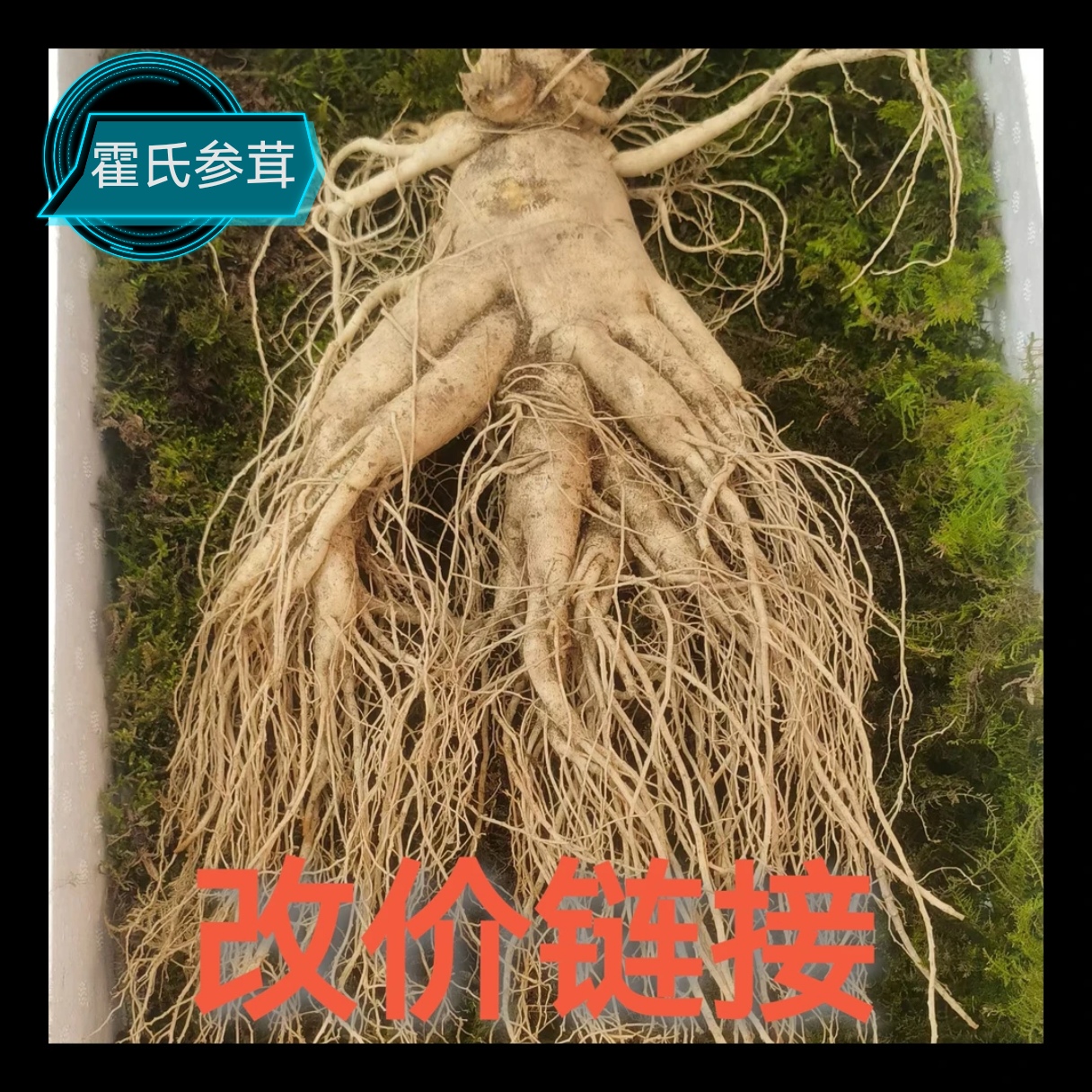 【改价链接】长白山鲜人参【一单一价】新鲜泡水煮茶煲汤泡酒高营养