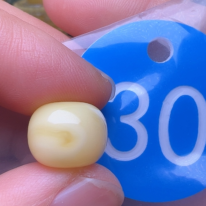 蜜蜡裸石未镶嵌12.5m m