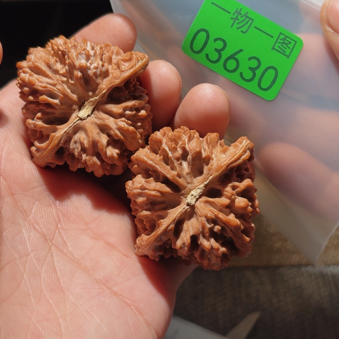 文玩核桃把件满天星