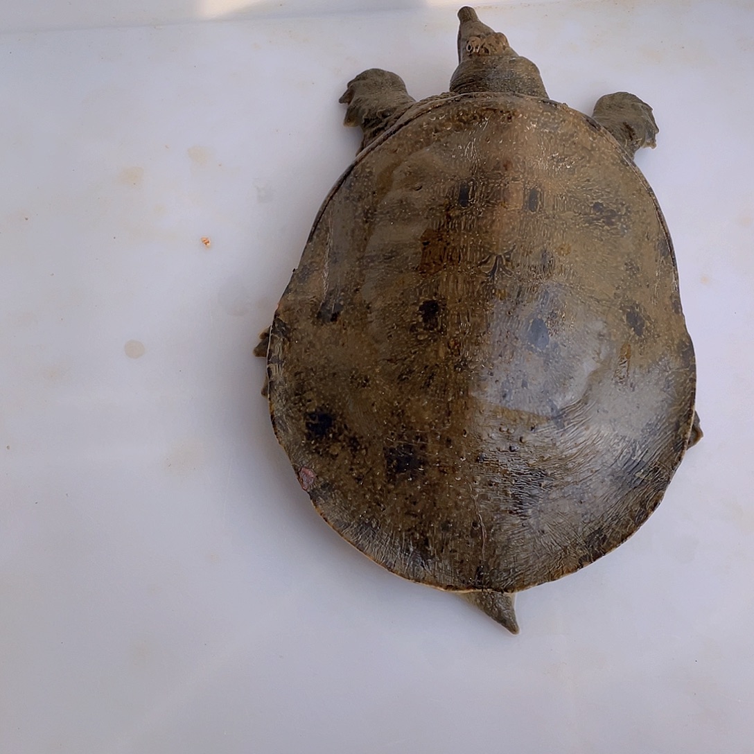 中国大陆12345678