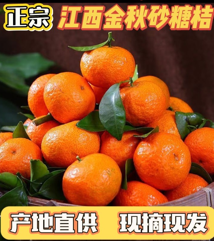 正宗金秋砂糖桔，纯甜无耔无渣，细腻多汁