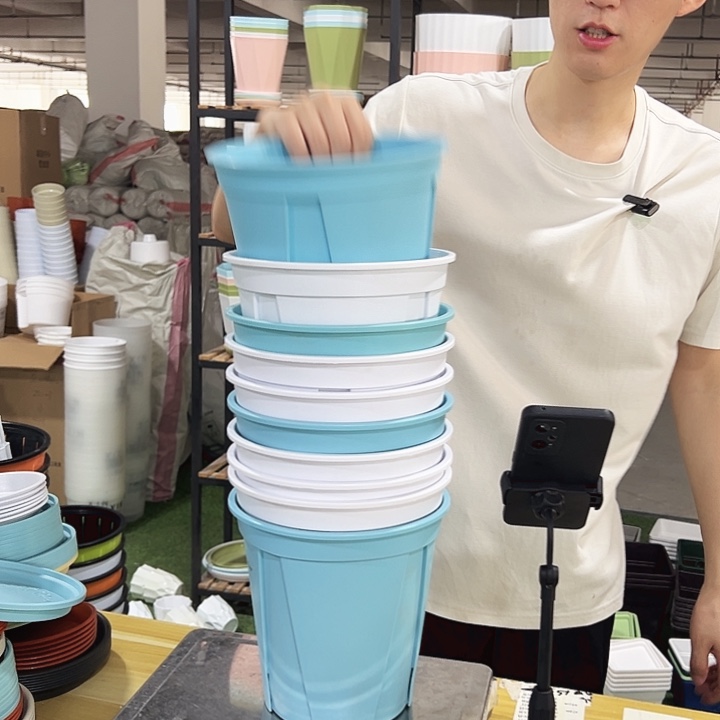 青山口21高21混色无托10只