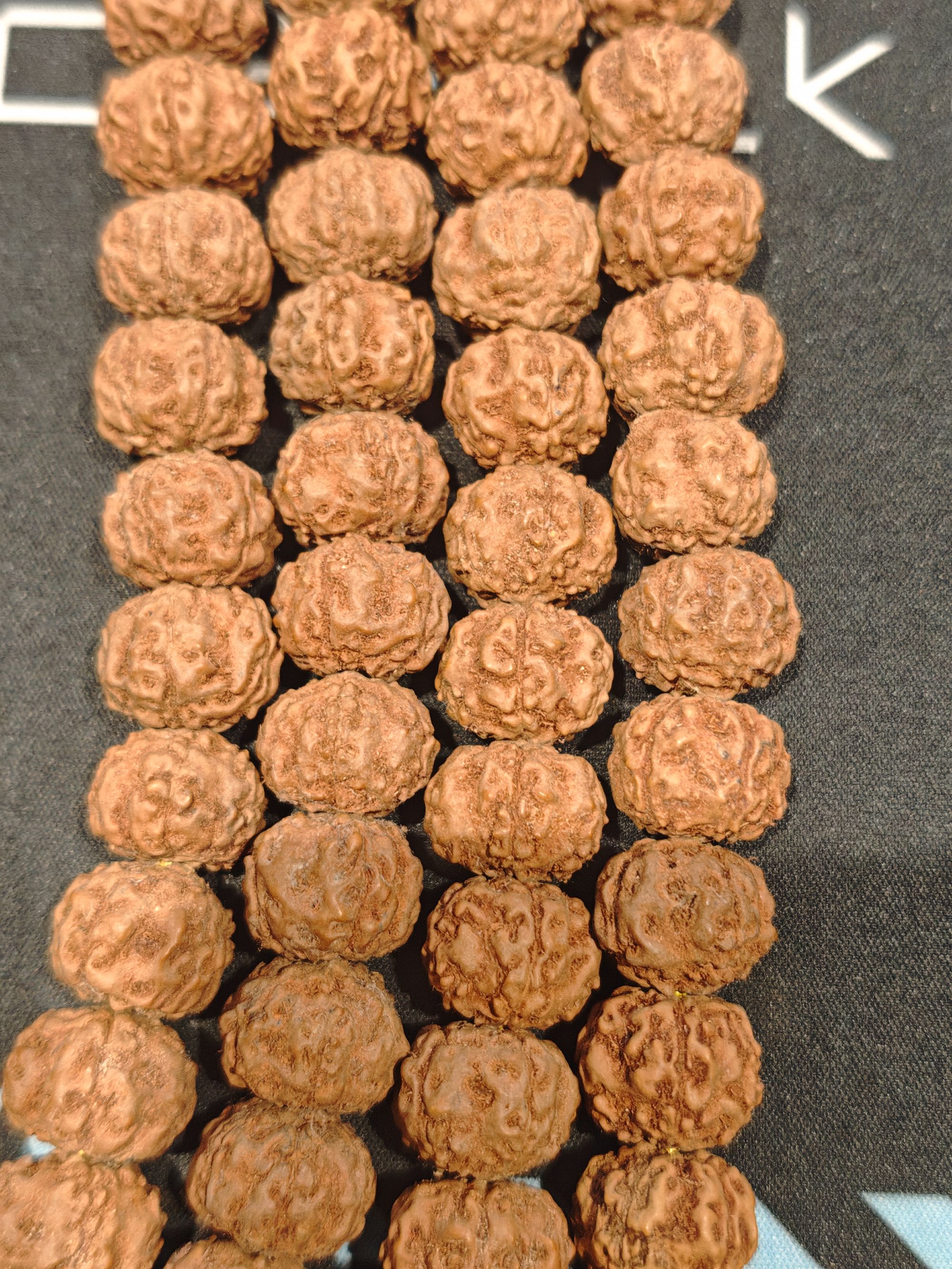 爆肉梅花双龙纹小金刚文玩菩提15mm大尺寸不包