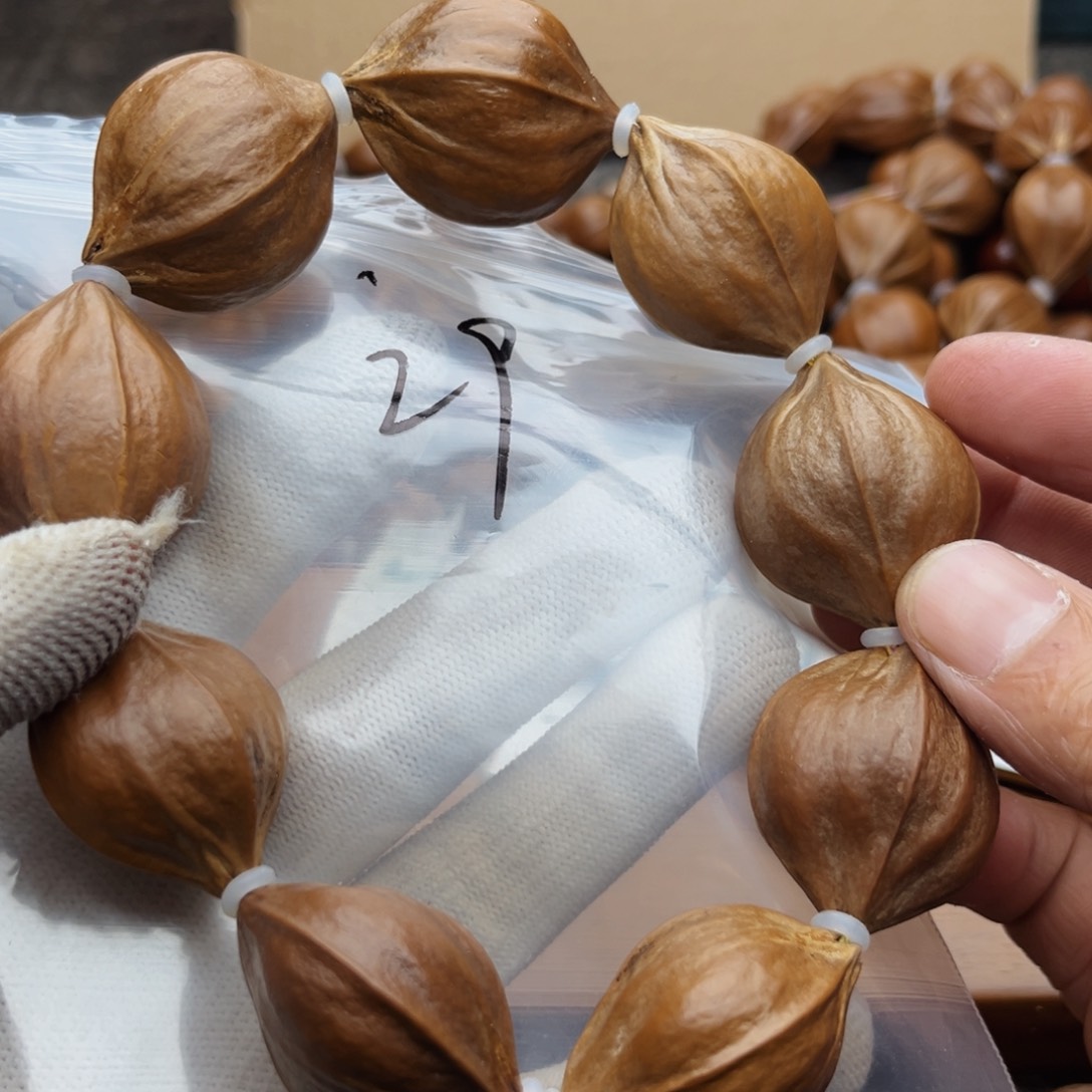 橄榄核手串/手链29号，2.7×3.3四花