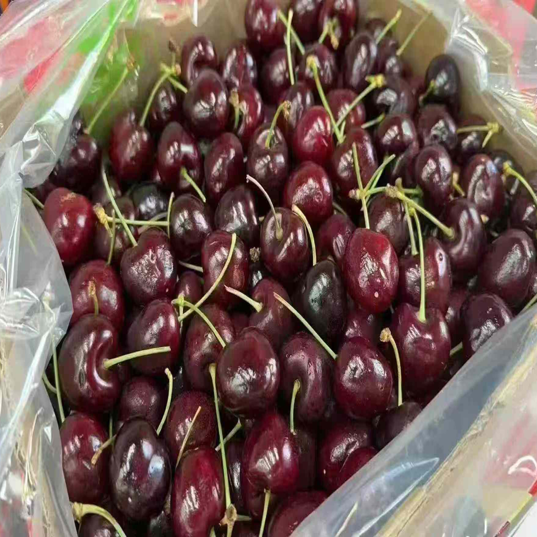 海运智利车厘子2JD规格119元净重5斤智利