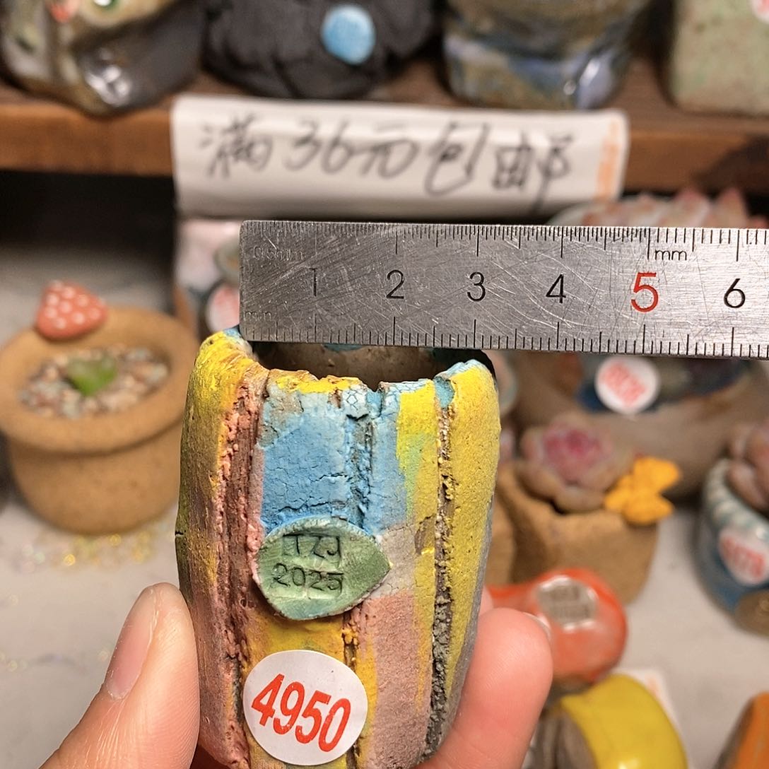 红陶拍5送一个小