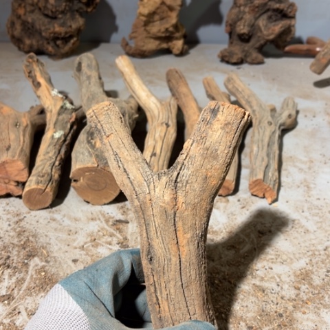 阿***风大果紫檀（缅甸花梨）