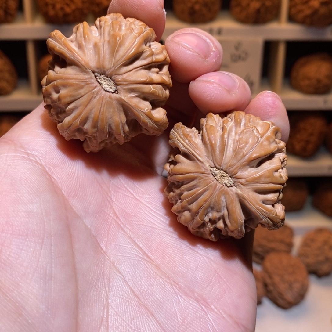 ****一42尺 全品无修白茬 山地 正磨